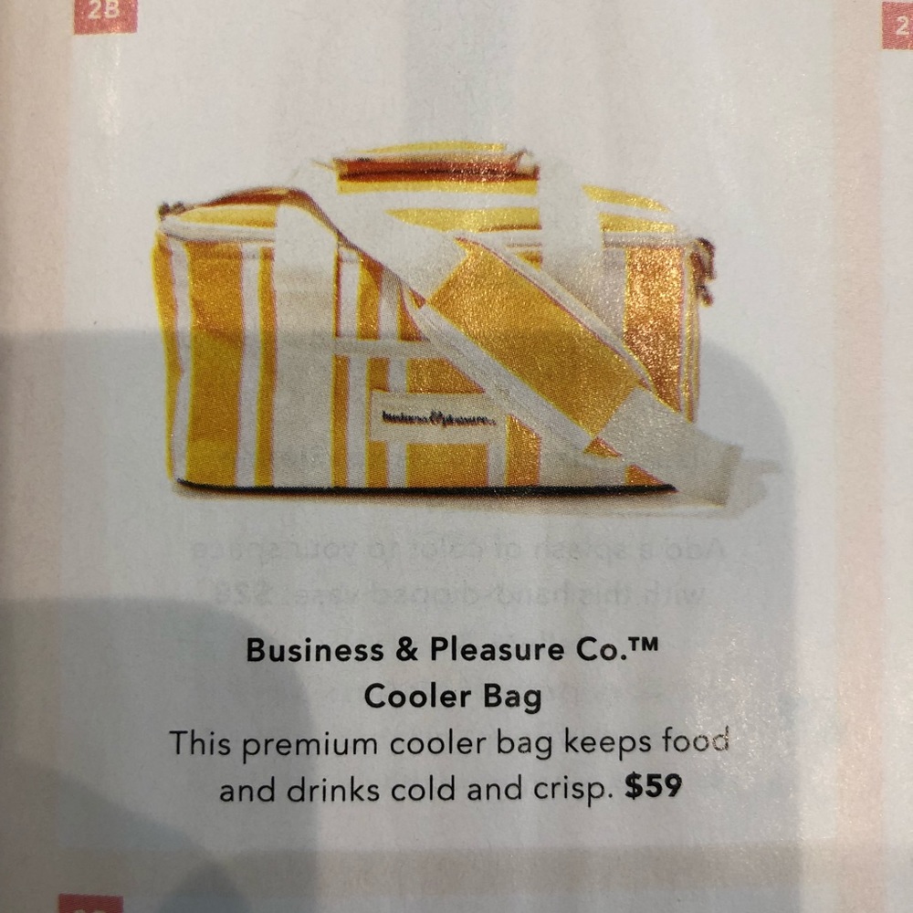 Business & pleasure co cooler bag fabfitfun - Picture 4 of 5